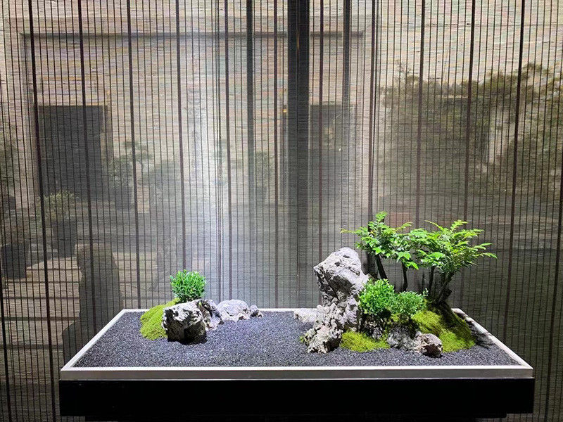 春之韵